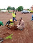 Nyambaka - Synergie commune/MINFOF pour les activités de reboisement