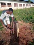 Dimako - Mise en terre et sécurisation des plants avec des filets dans le site du lycée bilingue de Dimako