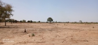 Identification des sites de reboisement  de Malaio - 07052025