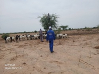 Tchad,la patrouille de l´équipe 2 du 16 juin 2025