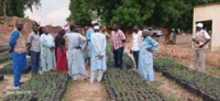 Visite chef atenne maroua pour renforcement des capacités sur Avenza Map au Tchad- 200625