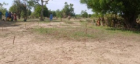 Activité de piquetage dans le site de Ngniwadji à Waza- 230625