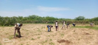 Opérations de trouaisons sur le site de Chilo et Gassi - 210725