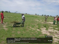 Activité de mise en terre des plants sur le site de Zaouzaou Tini de la commmune de Petté - 190725