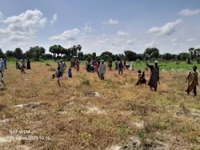 Tchad, préparation et mise en terre des plants sur le site ouest de Mandelia - 260725