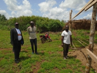 Dimako - Visite site pépinière et dotation des semences d´anacarde