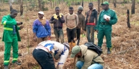 Bangangté-Photos travaux dans la pépinière communale