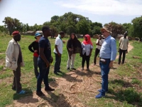Lagdo-05_11_19_Suivi et entretien des plants mis en terre dans la commune de lagdo site de Bengui