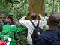 Evaluation de la forêt de Belabo dans la région de l´Est