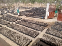 Mokolo - Préparation site pépinières d´une capacité de 160000 Plants pour la saison sylvicole 2020