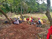 Nyambaka - Cultures Intercalaires: Labour du sol pour le haricot
