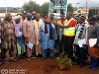 Banganté - Lancement de la campagne de plantation de 7000 arbres d´alignements